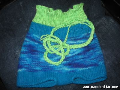 extended shorts