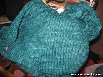 poncho in progress